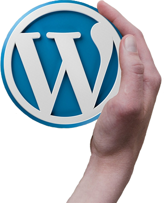 Mantenimiento Web WordPress